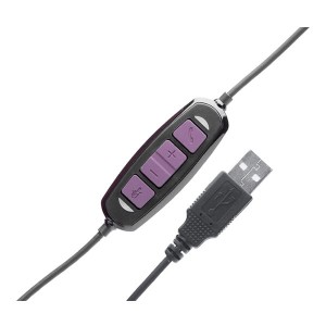 AxTel - QD/USB USB-C4 DSP