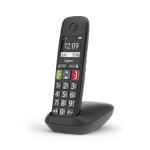 Gigaset E290